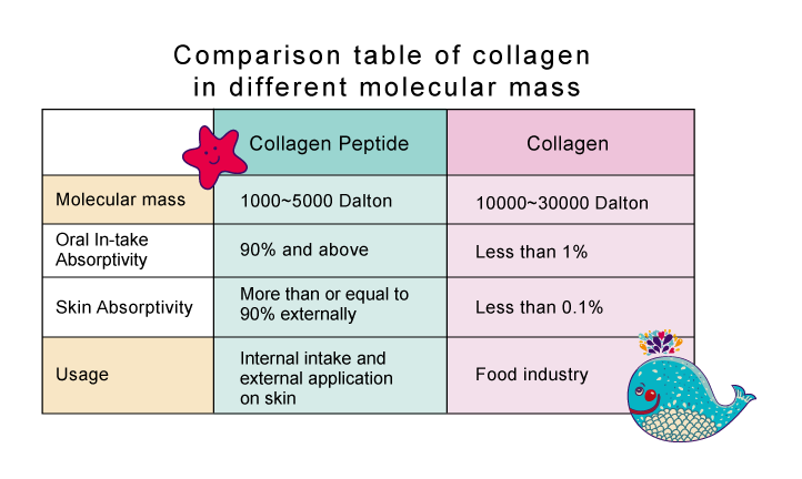 Collagen in different molecular weights