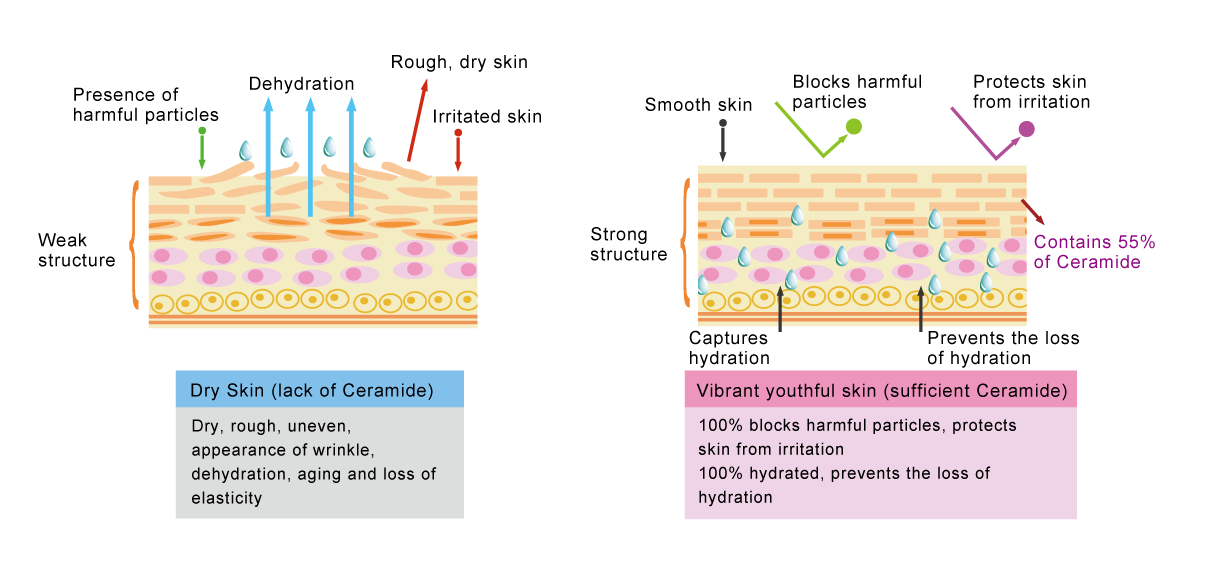 the comparison of different skin conditions